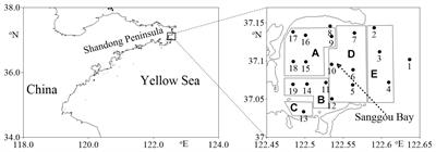 Seasonal and Spatial Variation of Pelagic Microbial Food Web Structure in a Semi-Enclosed Temperate Bay